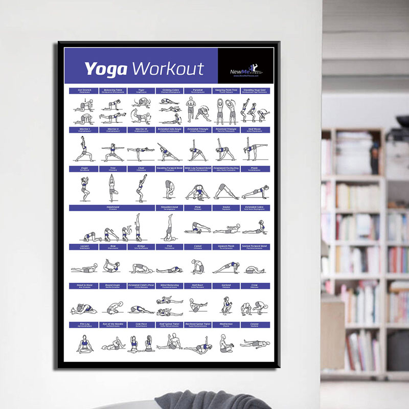 Home Gym York - Plan treningu ciała, ćwiczenia, siłownia domowa,
