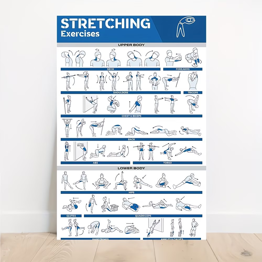 Home Gym Full Body - Nowoczesne, etykietowane obrazy rozciągających się osób
