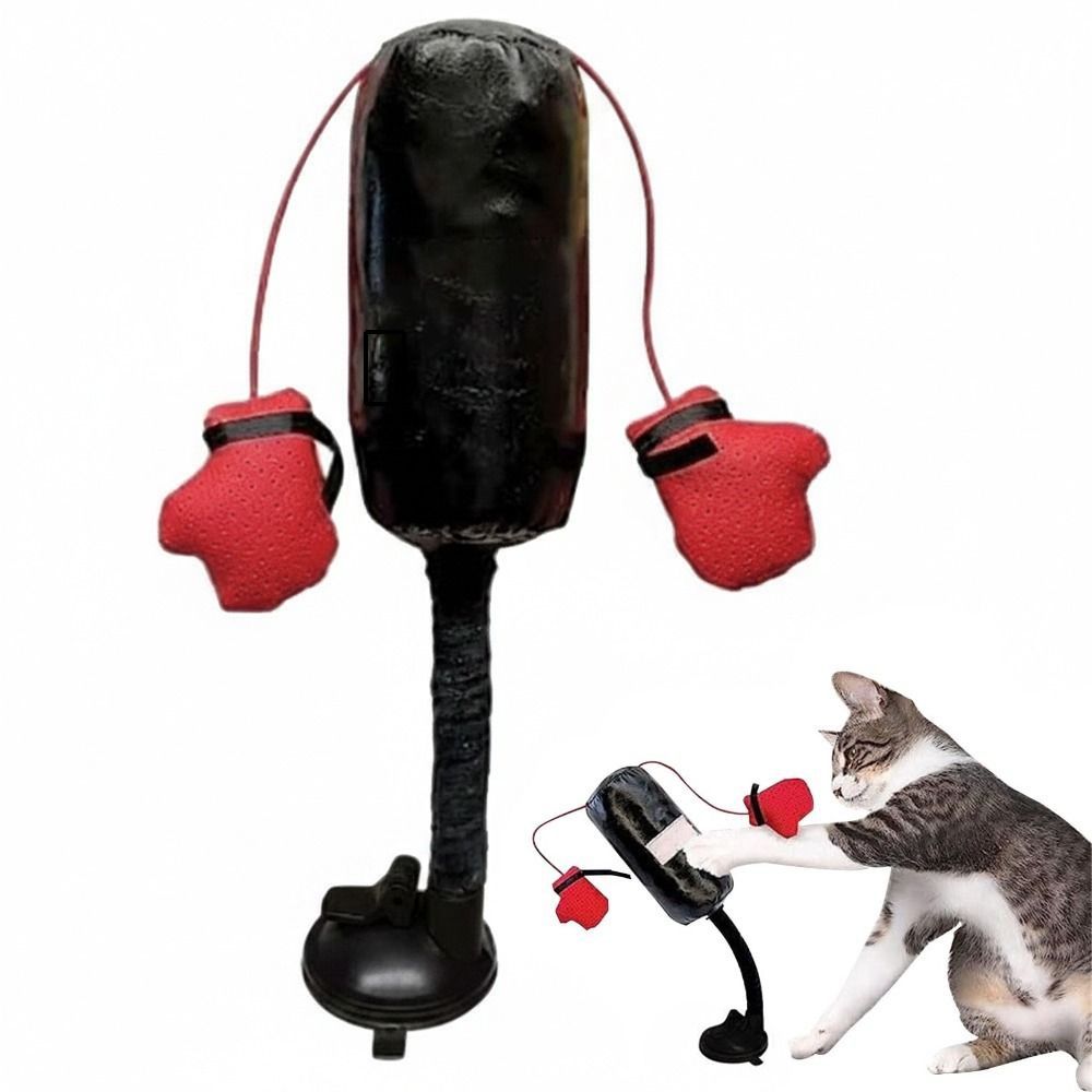 Zabawka bokserska dla kota z p – Boxing Bag Stand recenzja i cena