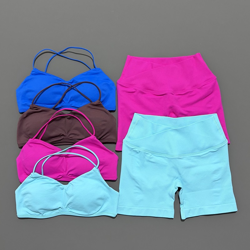 Dwuczęściowy zestaw sportowy V – Home Gym Full Body recenzja i cena